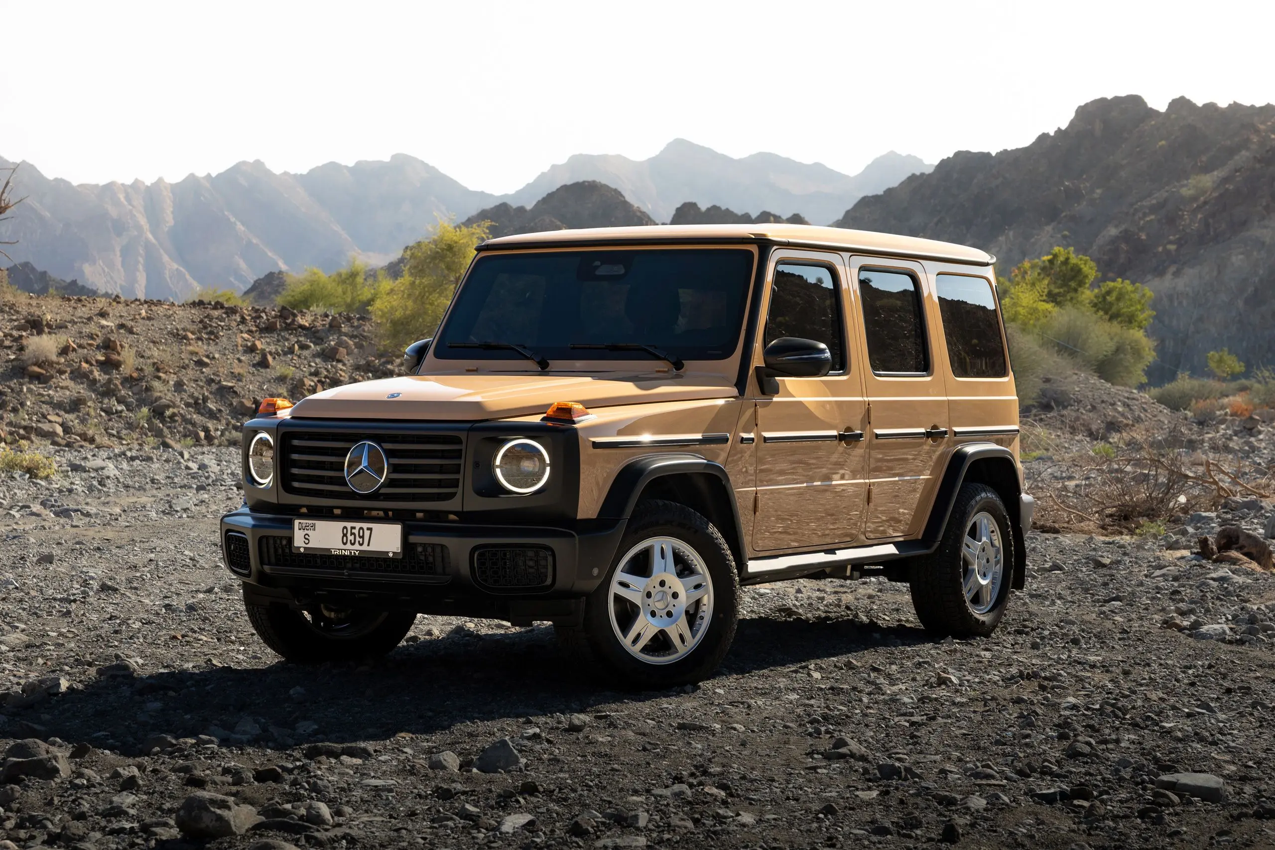 Mercedes-Benz G450D