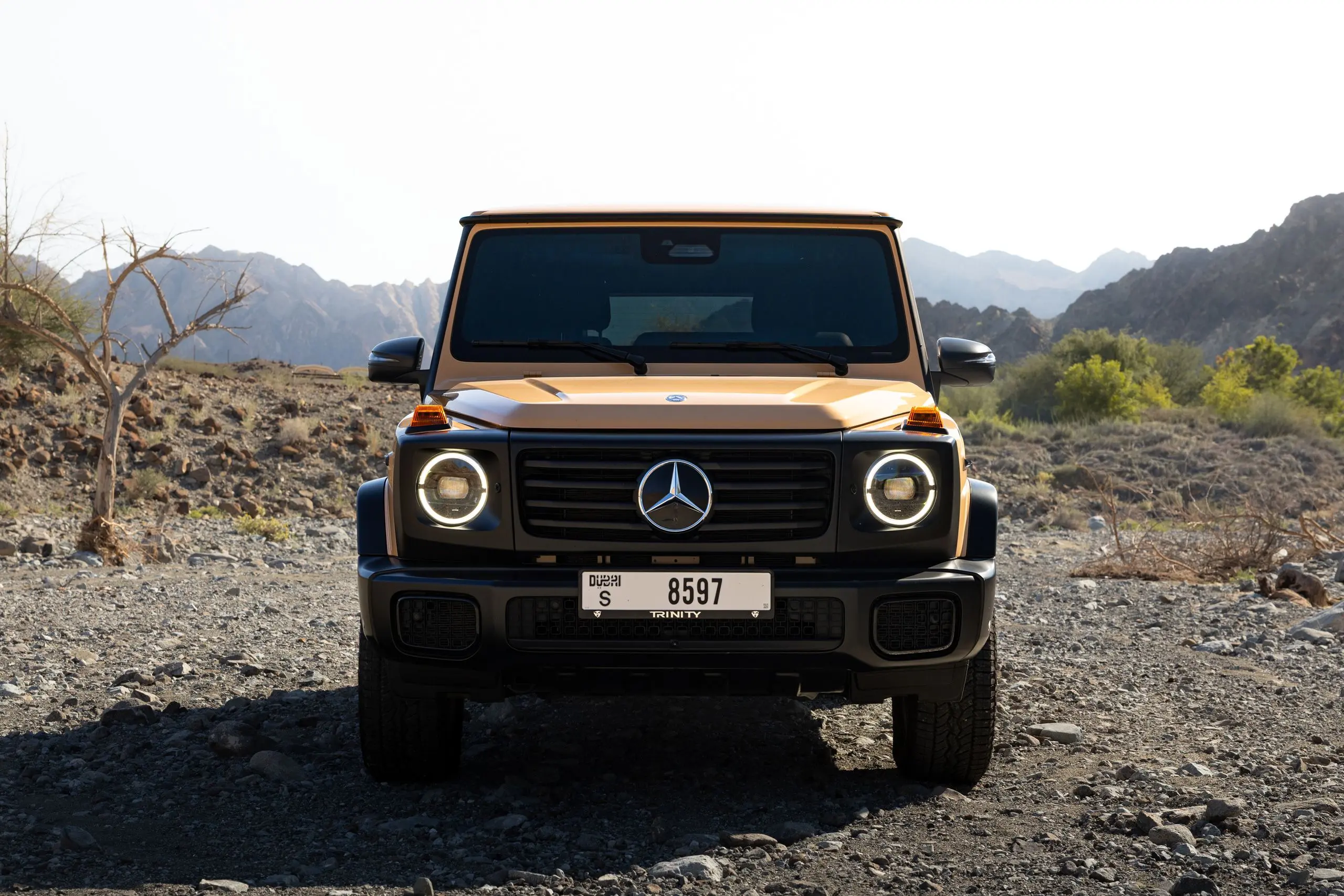 Mercedes-Benz G450D