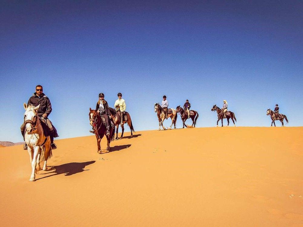 Where to Go Horse Riding in Dubai