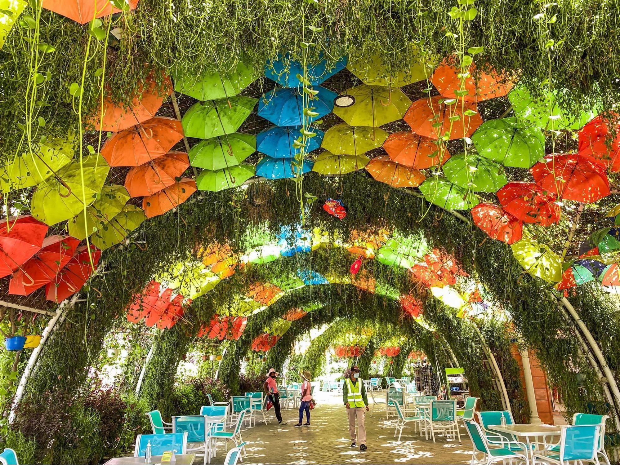 17 scenic garden cafes in Dubai