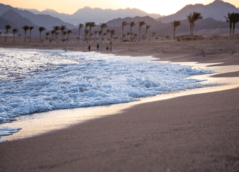 Best Beaches in Dubai: Free, Family, Luxury & More