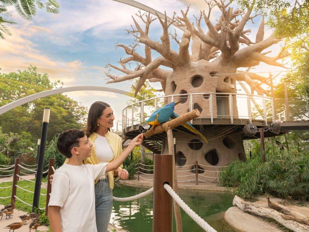 Dubai Safari Park: A Complete Guide