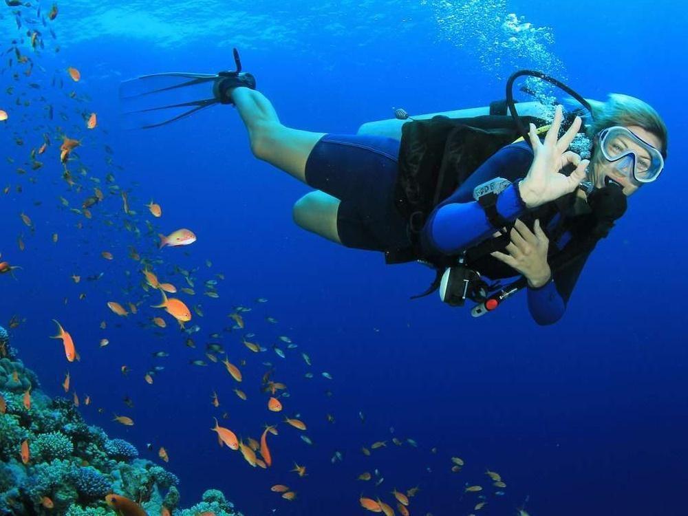Underwater Wonders: Where to go scuba diving in Dubai