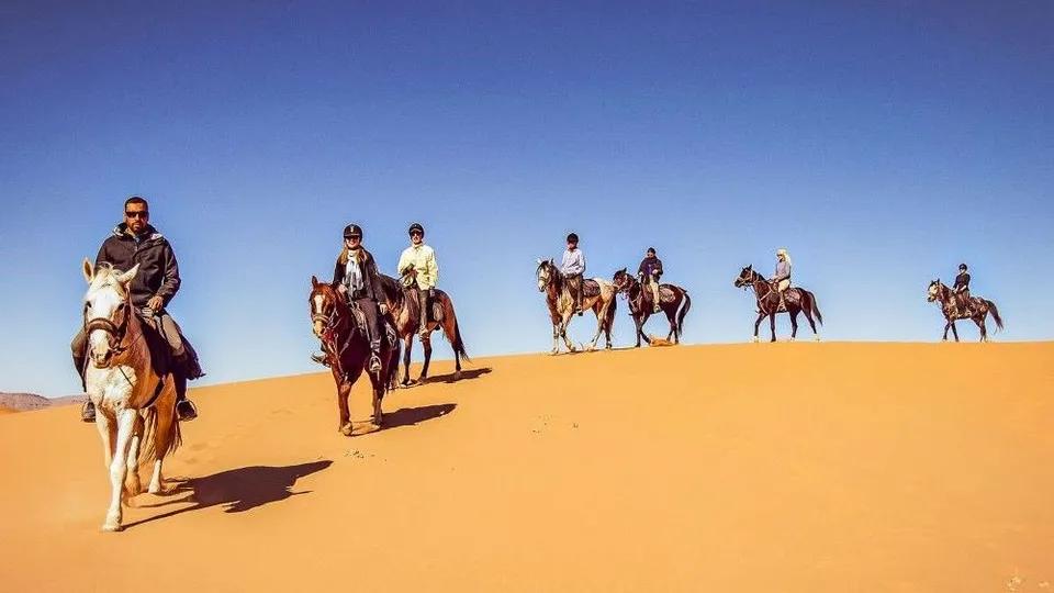Where to Go Horse Riding in Dubai - 580x326