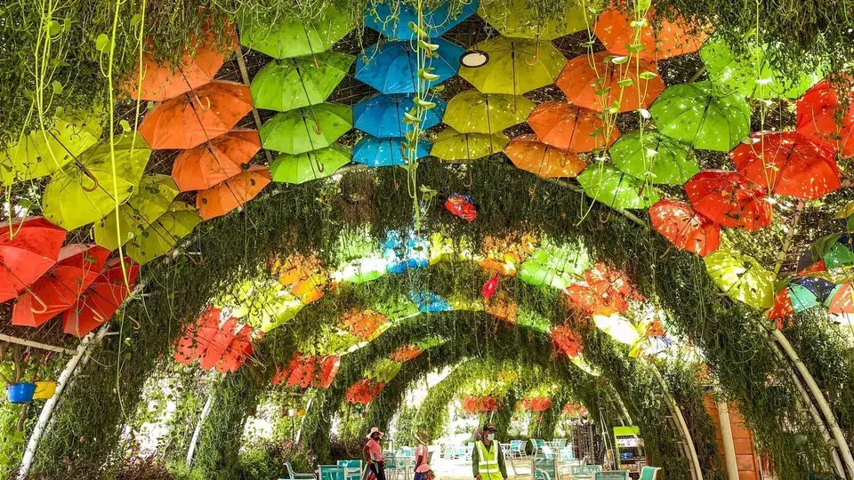17 scenic garden cafes in Dubai - 580x326