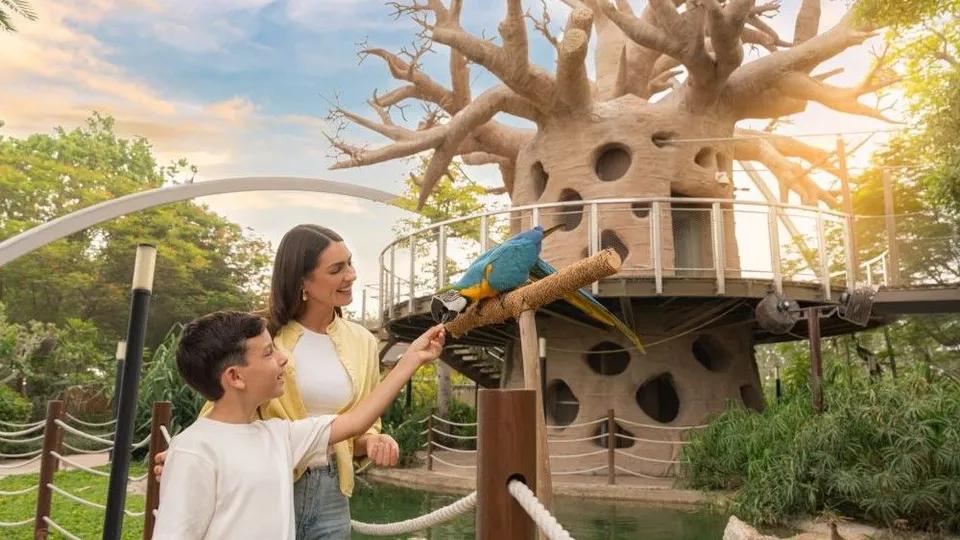Все самое интересное о парке Dubai Safari Park - 580x326