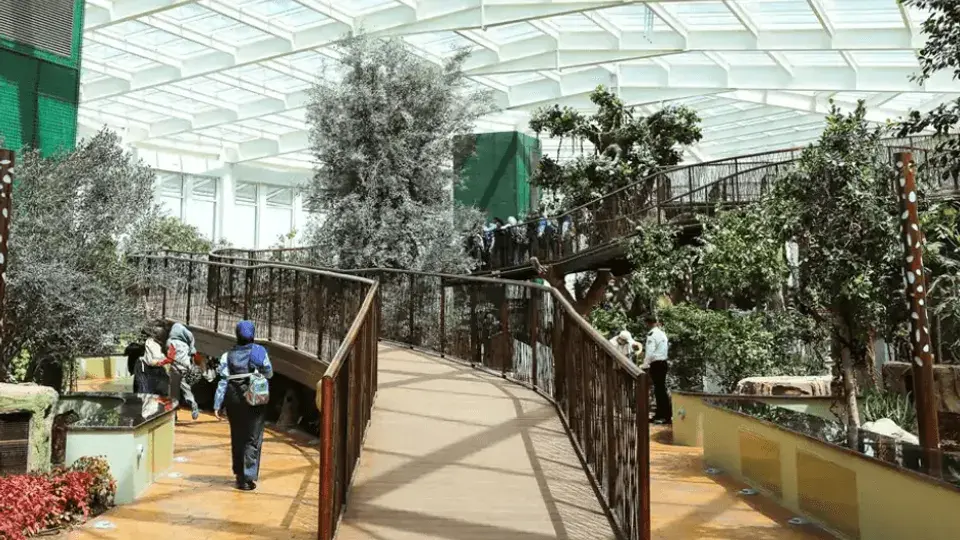 Quranic Park Dubai: A Visitor’s Guide to Faith and Nature - 580x326