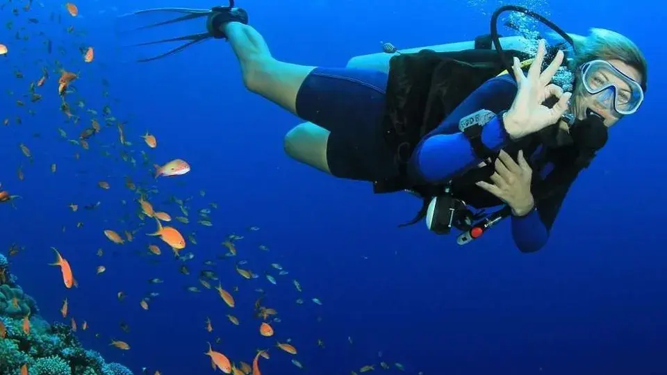 Underwater Wonders: Where to go scuba diving in Dubai - 580x326