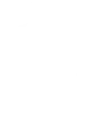 TOPCAR logo